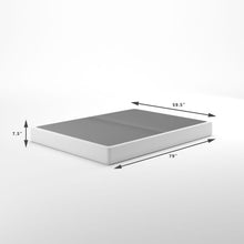 Load image into Gallery viewer, FALSE